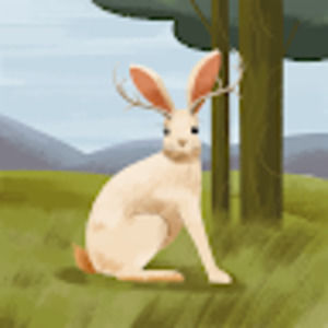 Meet your Posher, Lyra